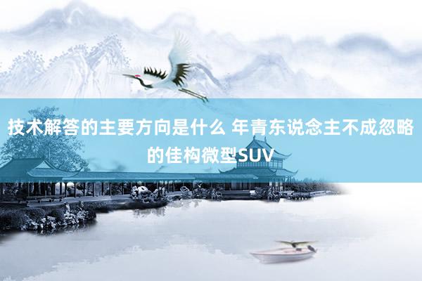 技术解答的主要方向是什么 年青东说念主不成忽略的佳构微型SUV