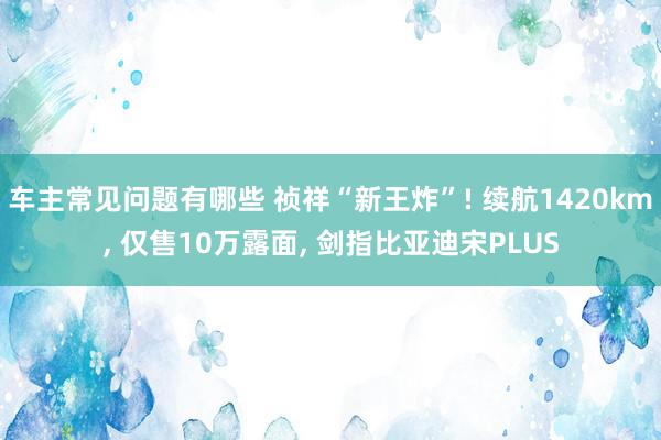 车主常见问题有哪些 祯祥“新王炸”! 续航1420km, 仅售10万露面, 剑指比亚迪宋PLUS