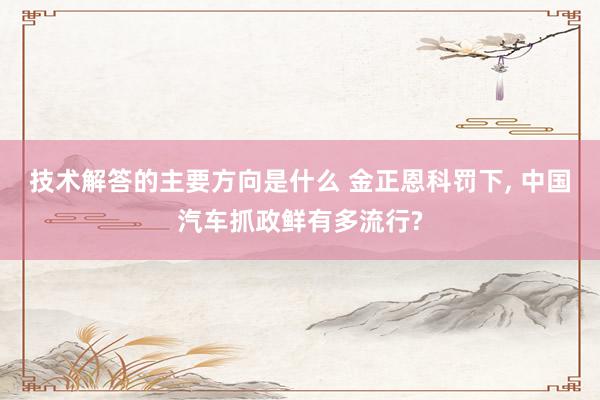 技术解答的主要方向是什么 金正恩科罚下, 中国汽车抓政鲜有多流行?