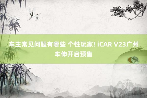 车主常见问题有哪些 个性玩家! iCAR V23广州车伸开启预售