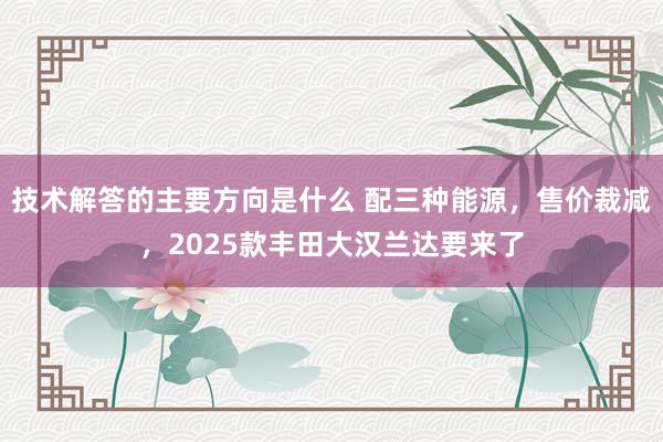 技术解答的主要方向是什么 配三种能源，售价裁减，2025款丰田大汉兰达要来了