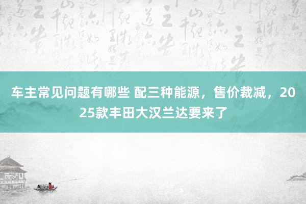 车主常见问题有哪些 配三种能源，售价裁减，2025款丰田大汉兰达要来了