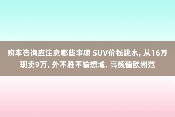 购车咨询应注意哪些事项 SUV价钱跳水, 从16万现卖9万, 外不雅不输想域, 高颜值欧洲范