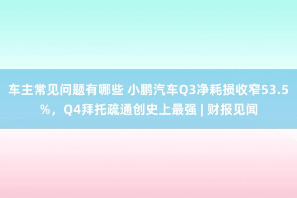 车主常见问题有哪些 小鹏汽车Q3净耗损收窄53.5%，Q4拜托疏通创史上最强 | 财报见闻