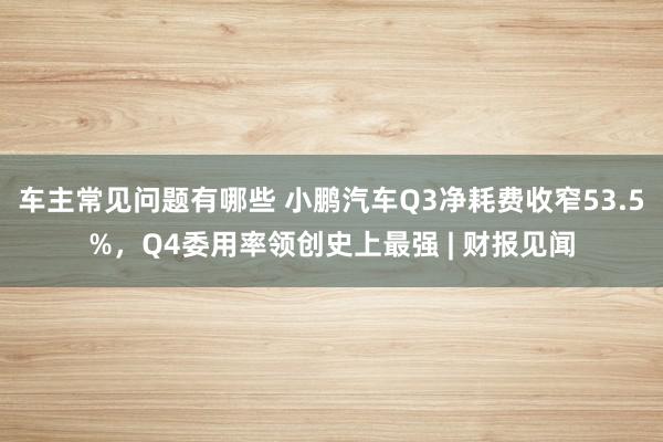 车主常见问题有哪些 小鹏汽车Q3净耗费收窄53.5%，Q4委用率领创史上最强 | 财报见闻