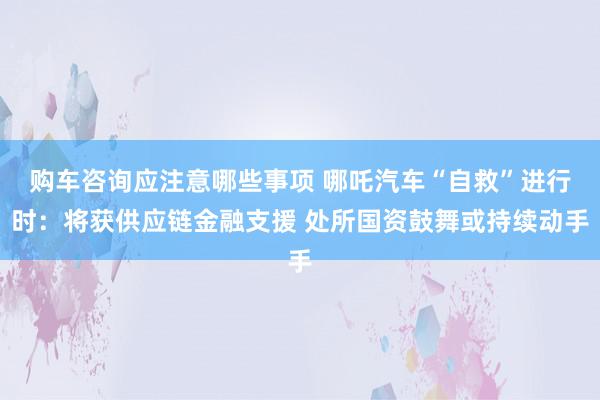 购车咨询应注意哪些事项 哪吒汽车“自救”进行时：将获供应链金融支援 处所国资鼓舞或持续动手