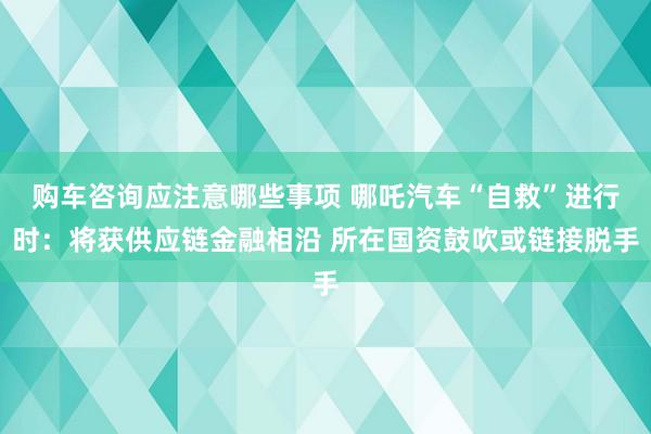 购车咨询应注意哪些事项 哪吒汽车“自救”进行时：将获供应链金融相沿 所在国资鼓吹或链接脱手