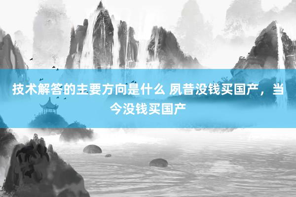 技术解答的主要方向是什么 夙昔没钱买国产，当今没钱买国产