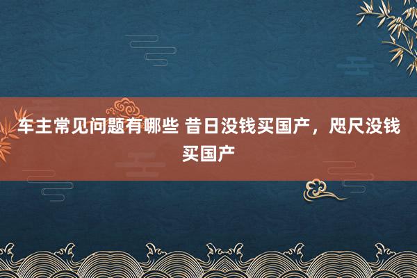 车主常见问题有哪些 昔日没钱买国产，咫尺没钱买国产