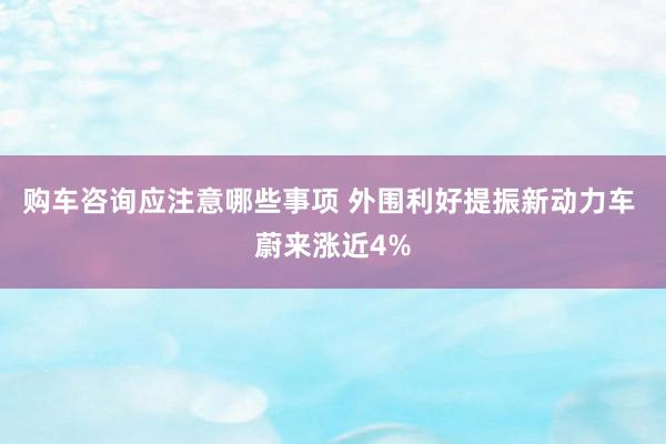 购车咨询应注意哪些事项 外围利好提振新动力车 蔚来涨近4%