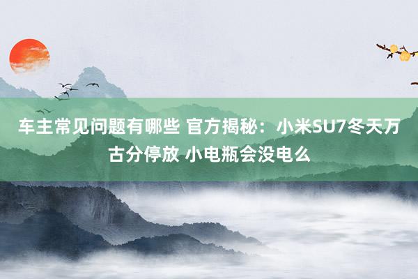 车主常见问题有哪些 官方揭秘：小米SU7冬天万古分停放 小电瓶会没电么