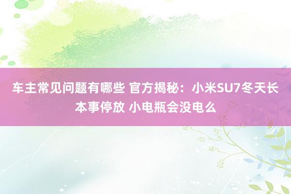 车主常见问题有哪些 官方揭秘：小米SU7冬天长本事停放 小电瓶会没电么