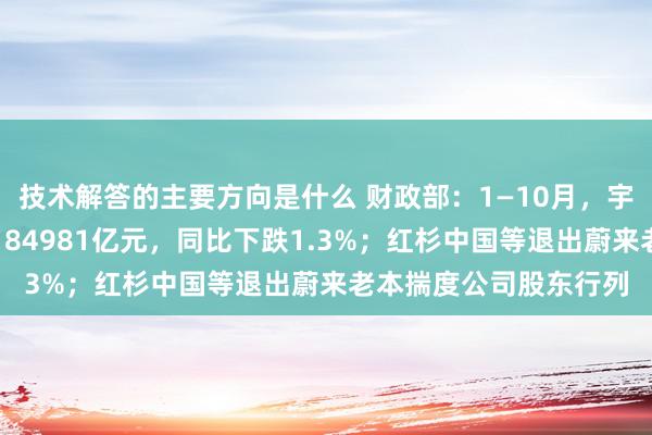 技术解答的主要方向是什么 财政部：1—10月，宇宙一般各人预算收入184981亿元，同比下跌1.3%；红杉中国等退出蔚来老本揣度公司股东行列