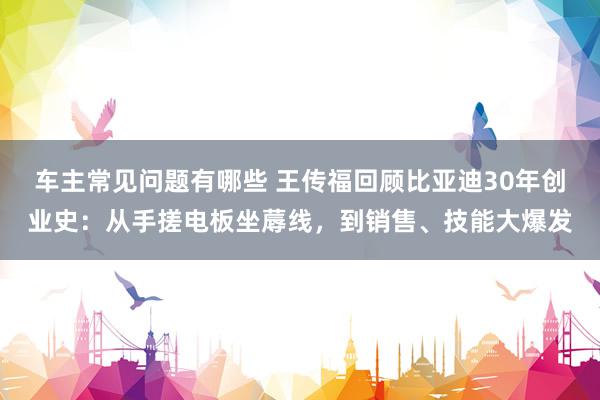 车主常见问题有哪些 王传福回顾比亚迪30年创业史：从手搓电板坐蓐线，到销售、技能大爆发