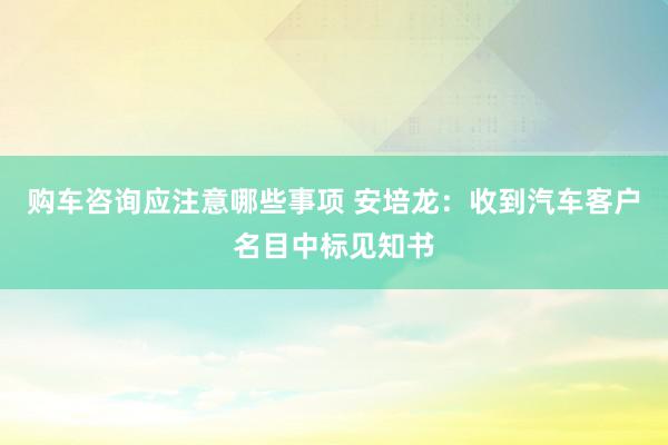 购车咨询应注意哪些事项 安培龙：收到汽车客户名目中标见知书