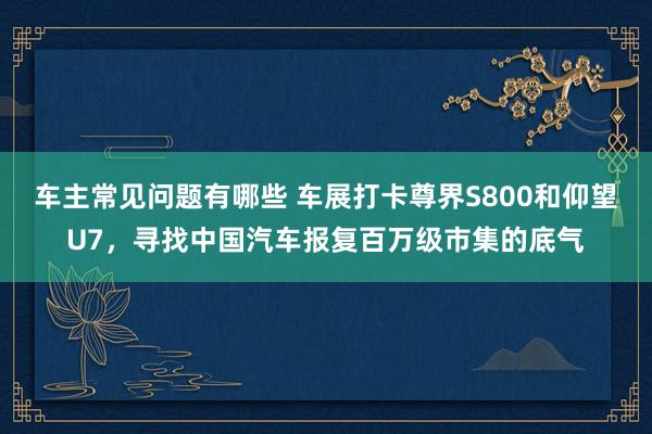 车主常见问题有哪些 车展打卡尊界S800和仰望U7，寻找中国汽车报复百万级市集的底气