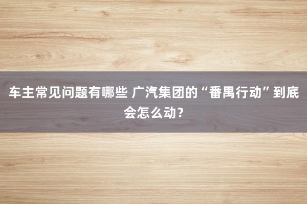 车主常见问题有哪些 广汽集团的“番禺行动”到底会怎么动？