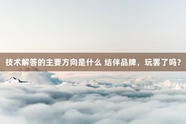 技术解答的主要方向是什么 结伴品牌，玩罢了吗？