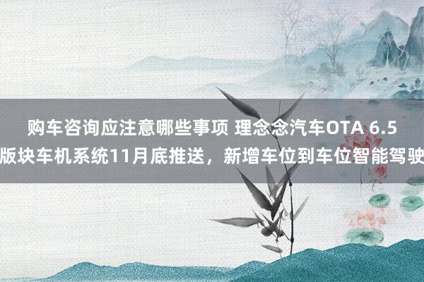 购车咨询应注意哪些事项 理念念汽车OTA 6.5版块车机系统11月底推送，新增车位到车位智能驾驶