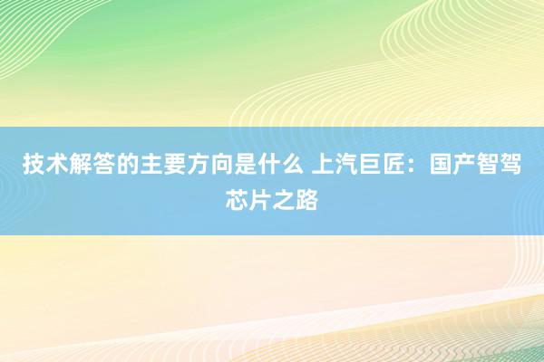 技术解答的主要方向是什么 上汽巨匠：国产智驾芯片之路