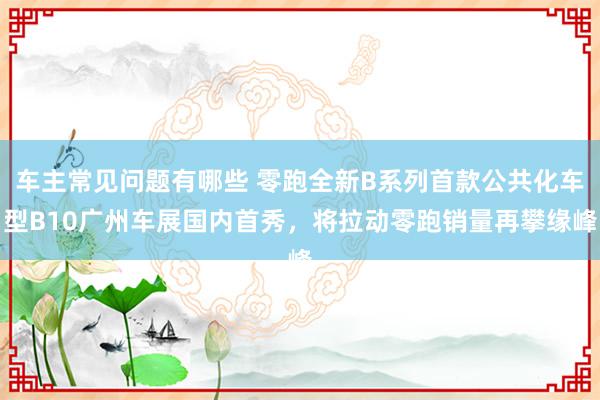 车主常见问题有哪些 零跑全新B系列首款公共化车型B10广州车展国内首秀，将拉动零跑销量再攀缘峰