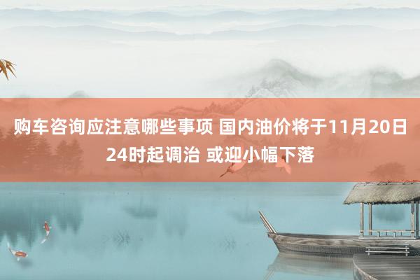 购车咨询应注意哪些事项 国内油价将于11月20日24时起调治 或迎小幅下落