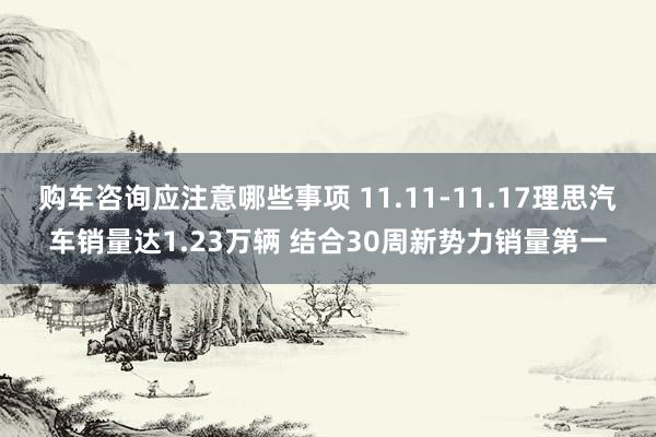 购车咨询应注意哪些事项 11.11-11.17理思汽车销量达1.23万辆 结合30周新势力销量第一