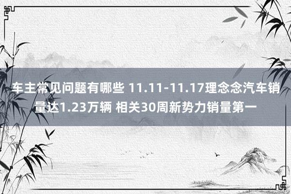 车主常见问题有哪些 11.11-11.17理念念汽车销量达1.23万辆 相关30周新势力销量第一