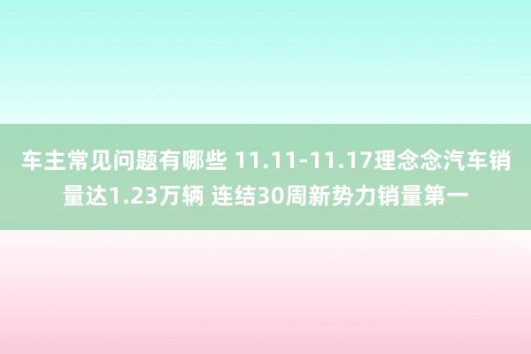 车主常见问题有哪些 11.11-11.17理念念汽车销量达1.23万辆 连结30周新势力销量第一