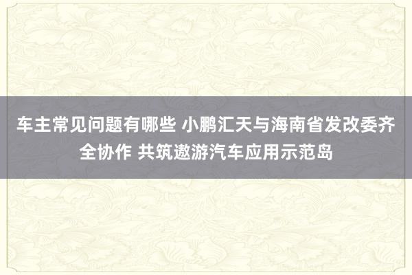 车主常见问题有哪些 小鹏汇天与海南省发改委齐全协作 共筑遨游汽车应用示范岛