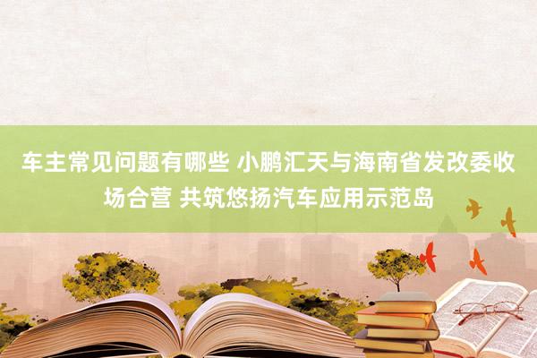 车主常见问题有哪些 小鹏汇天与海南省发改委收场合营 共筑悠扬汽车应用示范岛