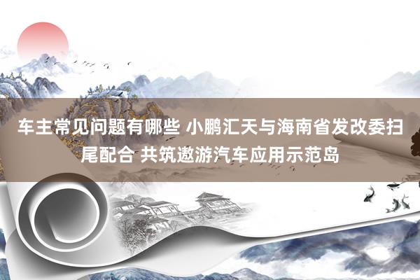 车主常见问题有哪些 小鹏汇天与海南省发改委扫尾配合 共筑遨游汽车应用示范岛