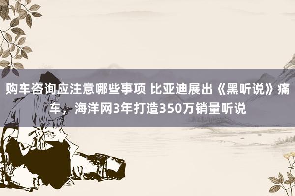 购车咨询应注意哪些事项 比亚迪展出《黑听说》痛车，海洋网3年打造350万销量听说