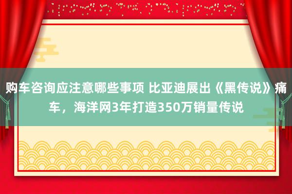 购车咨询应注意哪些事项 比亚迪展出《黑传说》痛车，海洋网3年打造350万销量传说