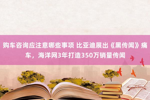 购车咨询应注意哪些事项 比亚迪展出《黑传闻》痛车，海洋网3年打造350万销量传闻