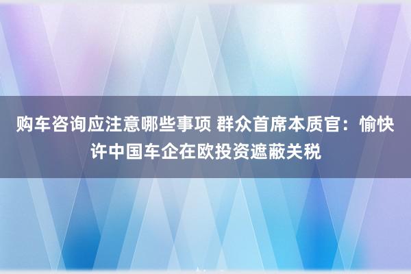 购车咨询应注意哪些事项 群众首席本质官：愉快许中国车企在欧投资遮蔽关税