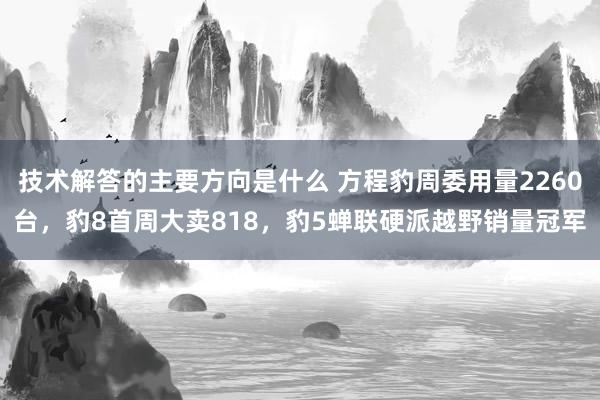 技术解答的主要方向是什么 方程豹周委用量2260台，豹8首周大卖818，豹5蝉联硬派越野销量冠军