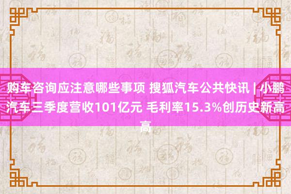 购车咨询应注意哪些事项 搜狐汽车公共快讯 | 小鹏汽车三季度营收101亿元 毛利率15.3%创历史新高