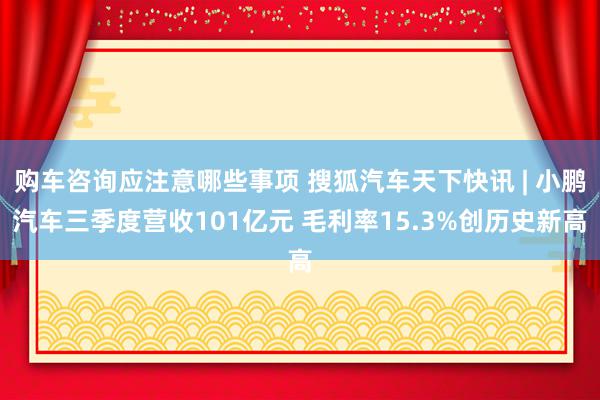 购车咨询应注意哪些事项 搜狐汽车天下快讯 | 小鹏汽车三季度营收101亿元 毛利率15.3%创历史新高