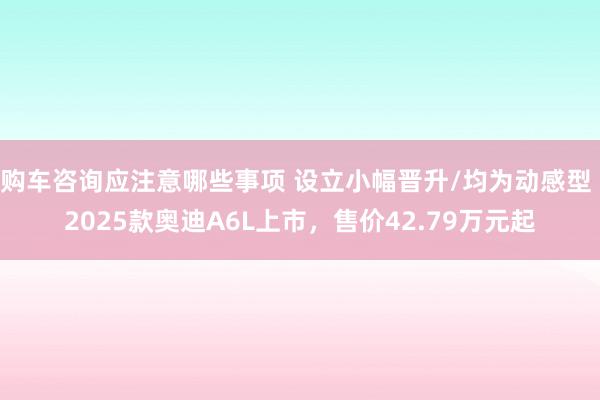 购车咨询应注意哪些事项 设立小幅晋升/均为动感型 2025款奥迪A6L上市，售价42.79万元起