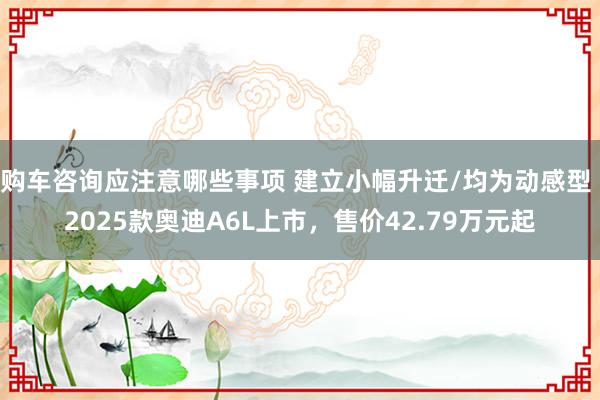 购车咨询应注意哪些事项 建立小幅升迁/均为动感型 2025款奥迪A6L上市，售价42.79万元起