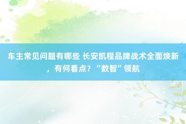 车主常见问题有哪些 长安凯程品牌战术全面焕新，有何看点？“数智”领航