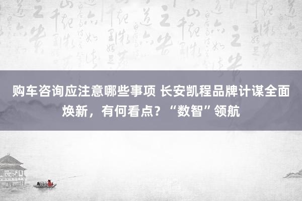 购车咨询应注意哪些事项 长安凯程品牌计谋全面焕新，有何看点？“数智”领航