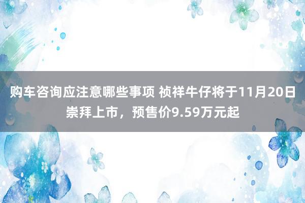 购车咨询应注意哪些事项 祯祥牛仔将于11月20日崇拜上市，预售价9.59万元起