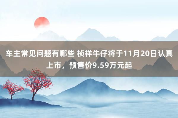 车主常见问题有哪些 祯祥牛仔将于11月20日认真上市，预售价9.59万元起